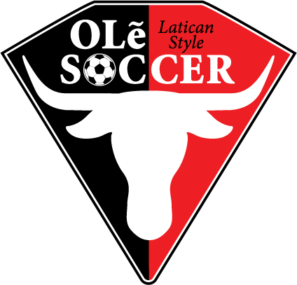 Ole SC 2016-Pres Primary Logo DTF transfer for t shirt